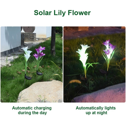 Simulated Lily Flower 4 Heads Solar Powered Outdoor IP55 Waterproof LED Decorative Lawn Lamp, White Light (Pink) - Solar Lights by buy2fix | Online Shopping UK | buy2fix