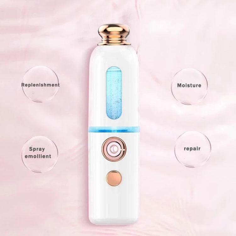 Facial Steamer Nano Spray Water Replenishing Instrument Portable Cold Spray Machine Charging Beauty Instrument Automatic Alcohol Sprayer, Style:Crown(Pink) - Beauty Instrument by buy2fix | Online Shopping UK | buy2fix