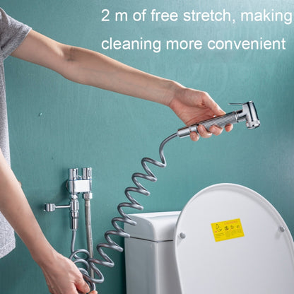 Toilet Mate Booster Flusher Toilet Cleaning Shower Set, Specification: Electroplated ABS Model - Shower Head by buy2fix | Online Shopping UK | buy2fix