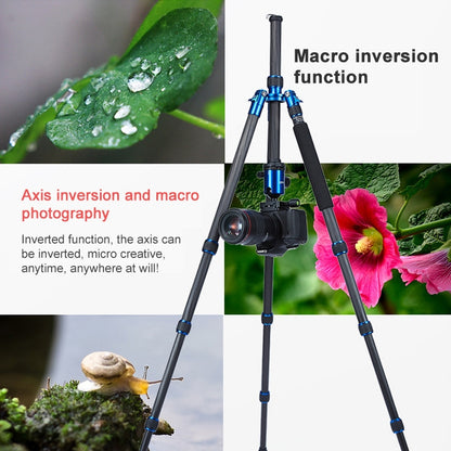 TRIOPO Oubao C-608S Adjustable Portable Carbon Fiber Tripod with Ball Head for SLR Camera - Camera Accessories by TRIOPO | Online Shopping UK | buy2fix