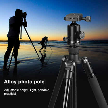 TRIOPO Oubao TA300 Adjustable Portable Aluminum Alloy Tripod with Ball Head for SLR Camera - Tripods by TRIOPO | Online Shopping UK | buy2fix