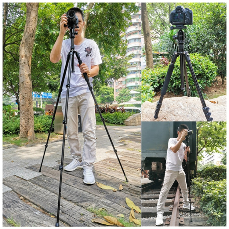 TRIOPO Oubao A-308S Adjustable Portable  Aluminum Alloy Tripod with Ball Head for SLR Camera - Tripods by TRIOPO | Online Shopping UK | buy2fix