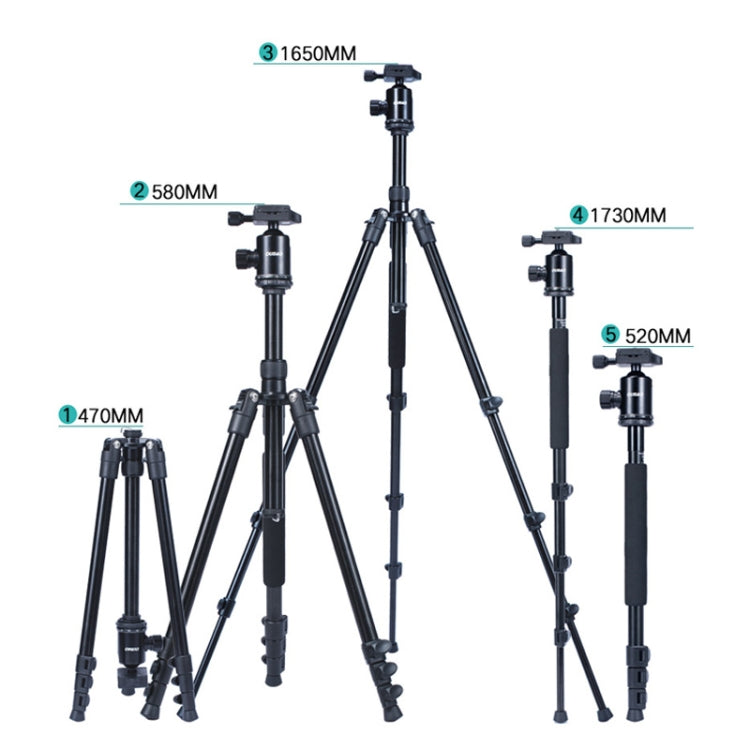 TRIOPO Oubao A-308S Adjustable Portable  Aluminum Alloy Tripod with Ball Head for SLR Camera - Tripods by TRIOPO | Online Shopping UK | buy2fix