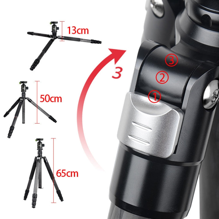 BEXIN W324C G44 Carbon Fiber Tripod Stable Shooting Camera for Video Point Dslr Camera - Tripods by BEXIN | Online Shopping UK | buy2fix