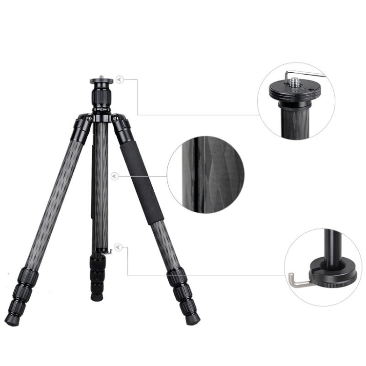 BEXIN W284C H36 Carbon Fiber Professional Photo Tripod for DSLR Camera - Tripods by BEXIN | Online Shopping UK | buy2fix