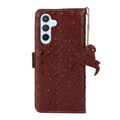 For Samsung Galaxy A54 5G Ostrich Pattern Genuine Leather RFID Phone Case(Coffee) - Galaxy Phone Cases by buy2fix | Online Shopping UK | buy2fix