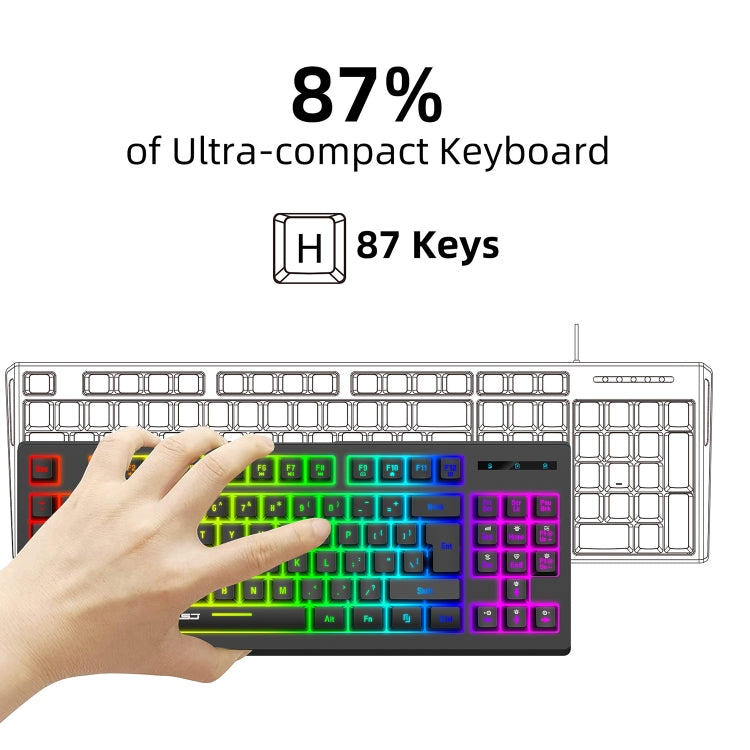 HXSJ L100 87 Keys RGB Backlit Film 2.4G Wireless Keyboard(Black) - Wireless Keyboard by HXSJ | Online Shopping UK | buy2fix