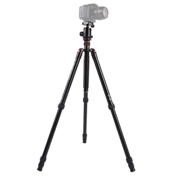 Triopo MT-2804C Adjustable Portable Aluminum Tripod (Gold) with NB-2S Ball Head (Black) for Canon Nikon Sony DSLR Camera - Tripods by TRIOPO | Online Shopping UK | buy2fix