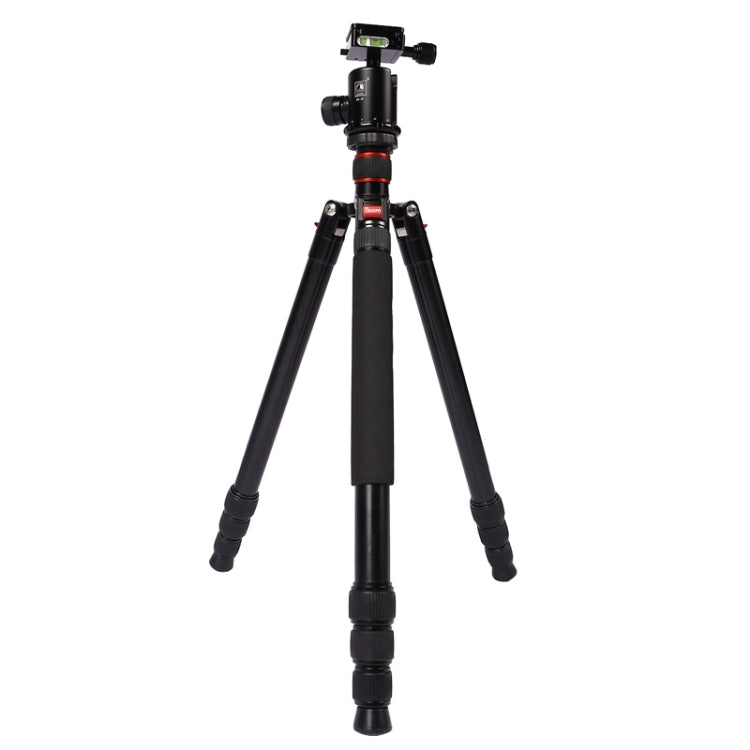 Triopo MT-2804C Adjustable Portable Aluminum Tripod (Gold) with NB-2S Ball Head (Black) for Canon Nikon Sony DSLR Camera - Tripods by TRIOPO | Online Shopping UK | buy2fix