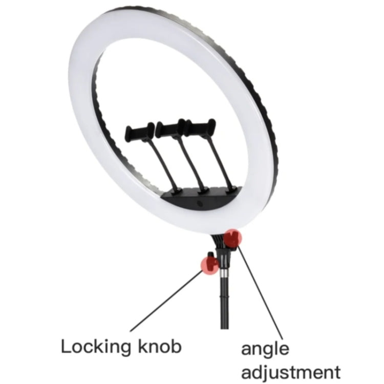 JMARY FM-21R With Remote Control Phone Clip 21-inch Dimmable LED Ring Light(EU Plug) -  by Jmary | Online Shopping UK | buy2fix