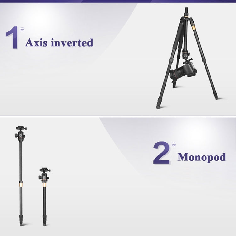 Q222 Portable 4-Section Folding Legs Aluminum Alloy Tripod Mount Monopod Holder with Ball Heads - Camera Accessories by buy2fix | Online Shopping UK | buy2fix