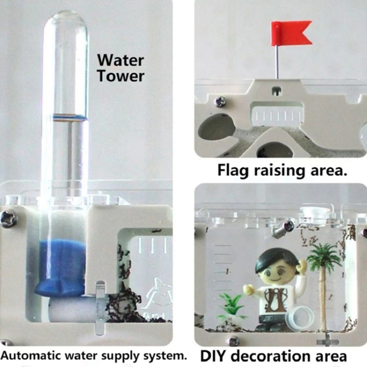 S12 Ant Workshop Ecological Toys Science Experiment Teaching Kids Ant Nest(Self-installed Version) - Early Education Toys by buy2fix | Online Shopping UK | buy2fix