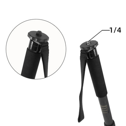 10pcs BEXIN  G-02 Camera 1/4-inch Screw Protection Cap for Tripod Monopod Screw -  by BEXIN | Online Shopping UK | buy2fix