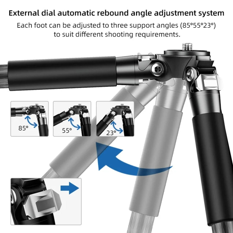 BEXIN RC254+LH-28 Carbon Fiber Portable Folding Tripod SLR Camera Low Gravity Center Gimbal Photography Bracket - Tripods by BEXIN | Online Shopping UK | buy2fix